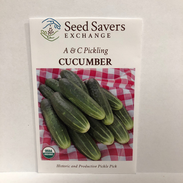 A & C Pickling Cucumber, 1928 Heirloom, Organic